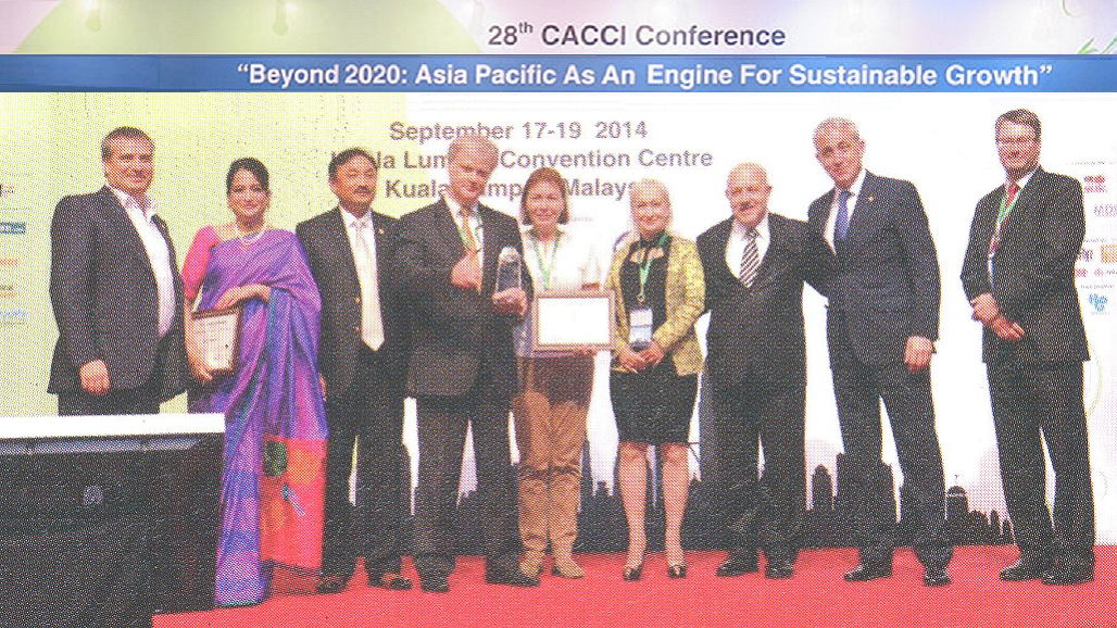2014 chamber award russia large